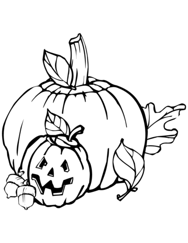 Coloring book large and small pumpkin for Halloween
